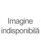 INEL